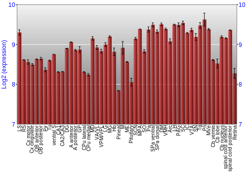 Expression graph