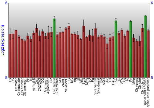 Multi-state expression graph