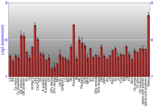 Expression graph