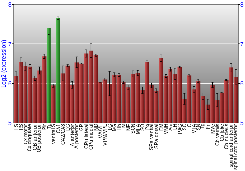 Multi-state expression graph