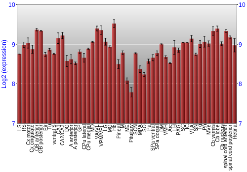 Expression graph