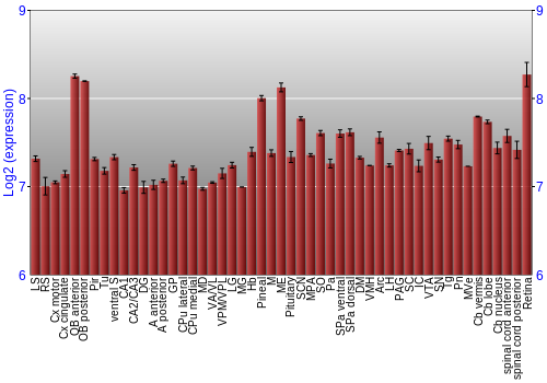 Expression graph