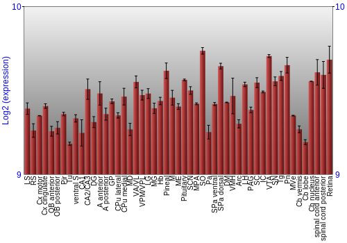 Expression graph