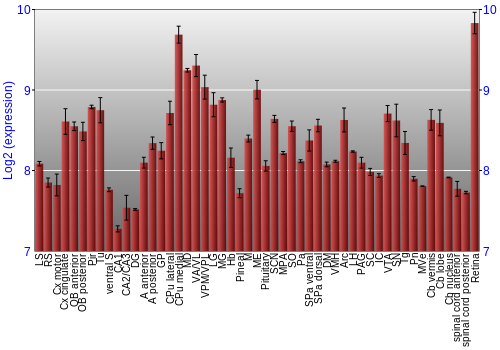 Expression graph