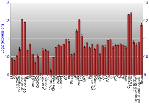 Expression graph