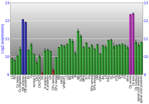 Multi-state expression graph