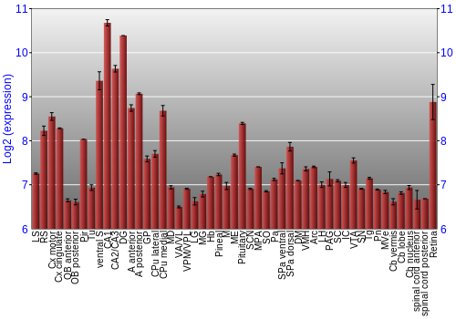 Expression graph