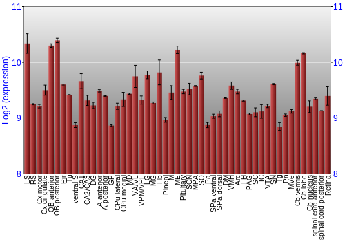 Expression graph