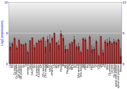 Expression graph