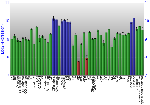 Multi-state expression graph