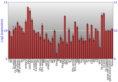 Expression graph