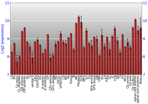 Expression graph