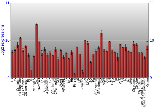 Expression graph