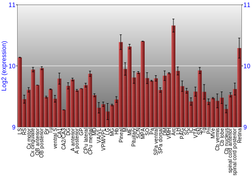 Expression graph