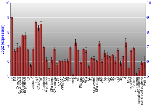 Expression graph
