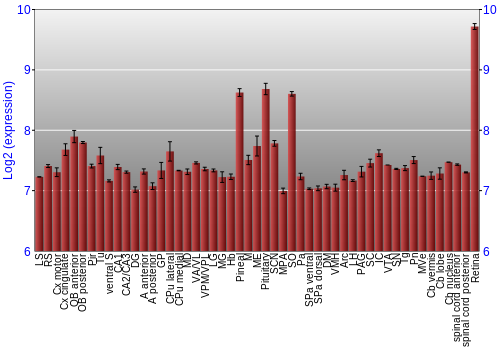 Expression graph