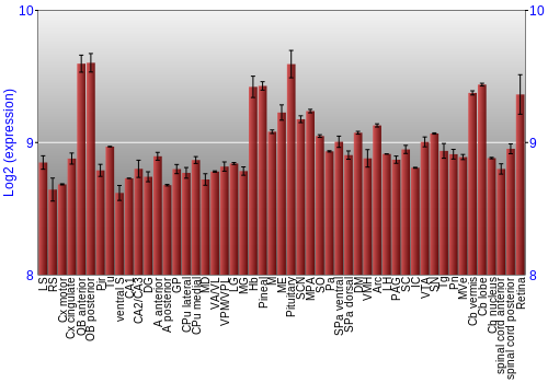 Expression graph