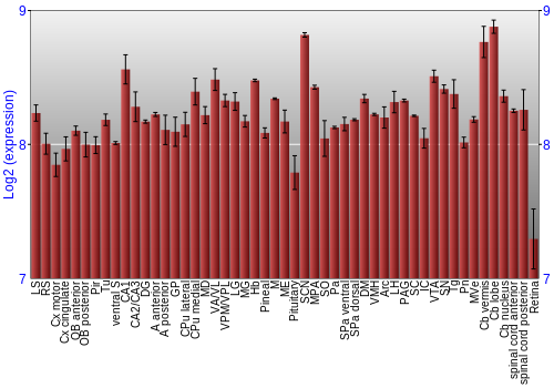 Expression graph
