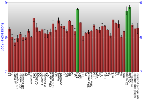 Multi-state expression graph
