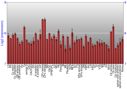 Expression graph