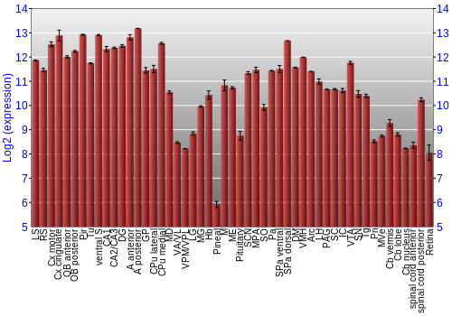 Expression graph