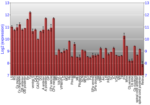 Expression graph