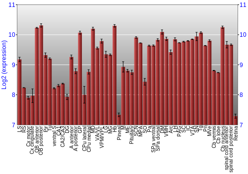 Expression graph