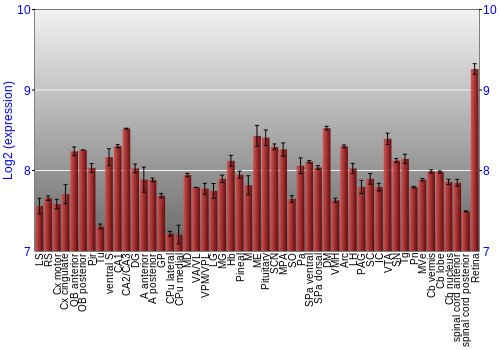 Expression graph