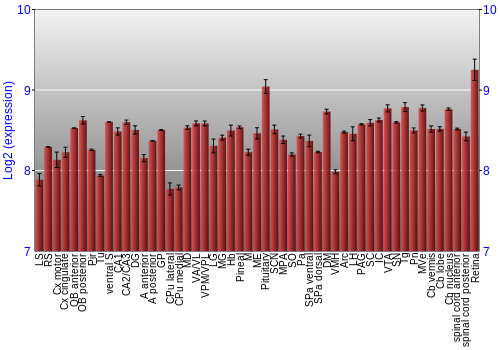Expression graph