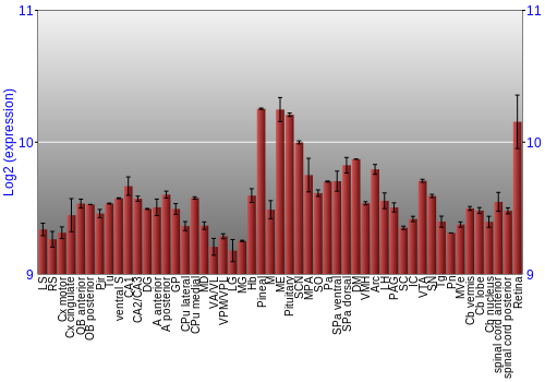 Expression graph