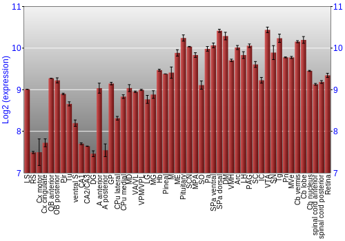 Expression graph