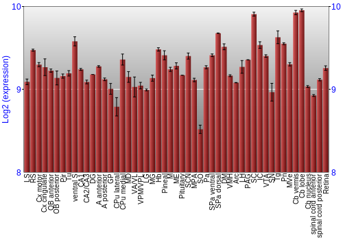 Expression graph