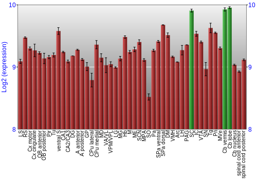 Multi-state expression graph