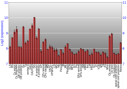 Expression graph