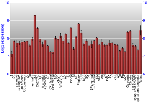 Expression graph
