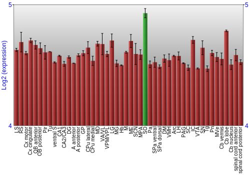 Multi-state expression graph