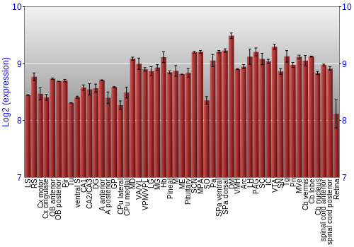 Expression graph