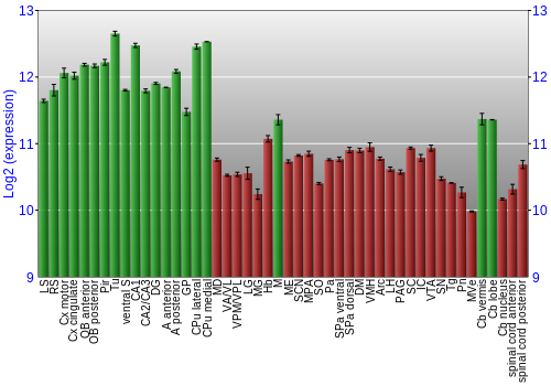 Multi-state expression graph
