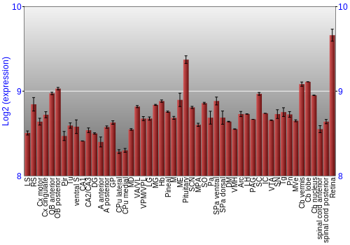 Expression graph
