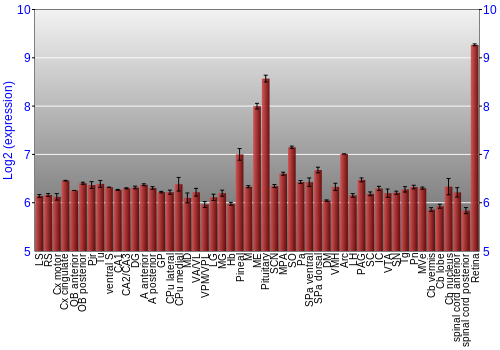 Expression graph