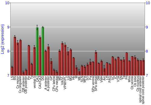 Multi-state expression graph