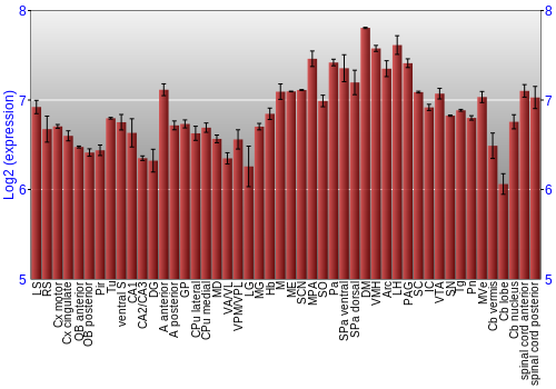 Multi-state expression graph