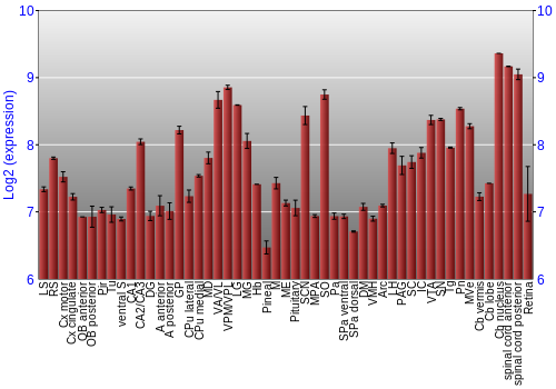 Expression graph