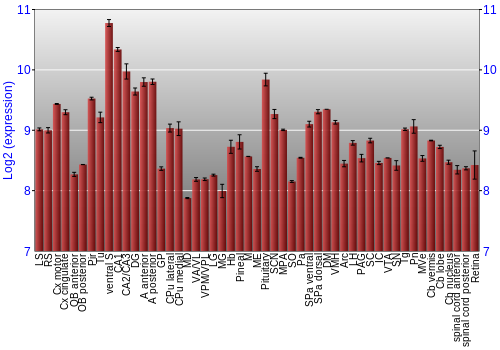Expression graph