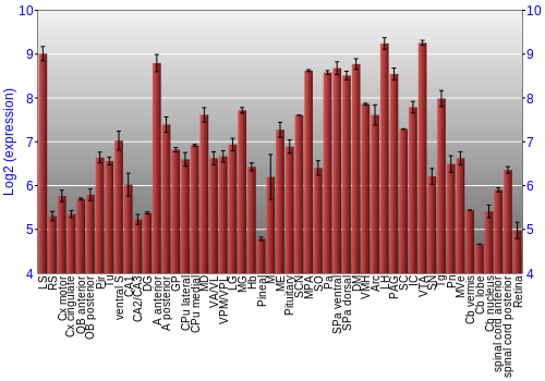 Expression graph