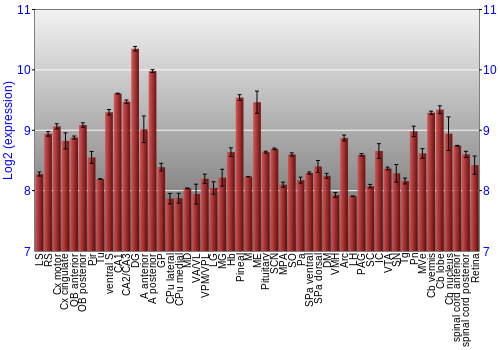 Expression graph