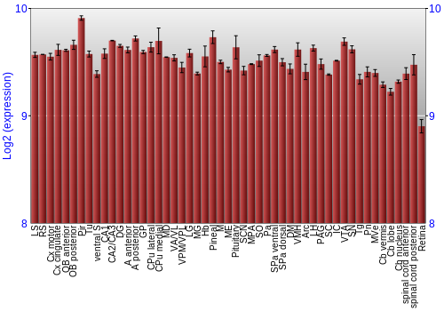 Expression graph