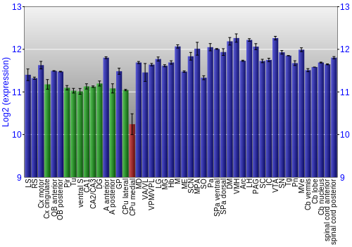 Multi-state expression graph