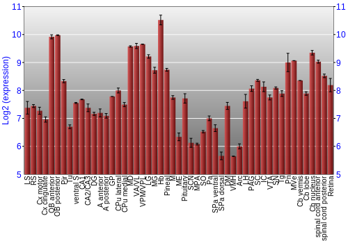 Expression graph