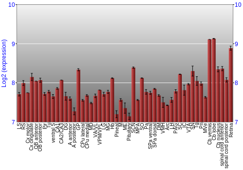 Expression graph